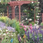 2015march camera import 309